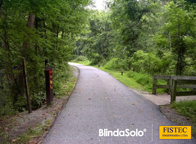 Imagem de uma Ciclovia Arborizada e Tranquila