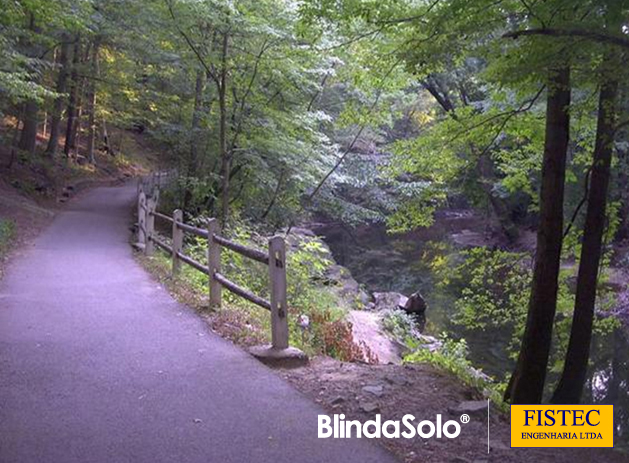 Imagem de uma Ciclovia em uma floresta, com detalhes de corrimão em madeira muito bonitos