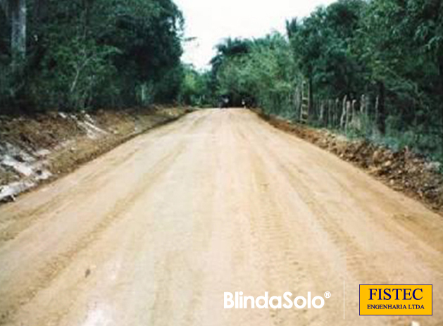 Estrada de Manutenção do Óleoduto da Petrobrás - Urucu-Coari/AM